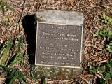 image of grave number 784446